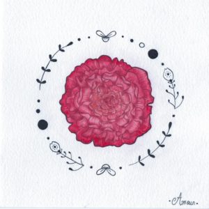 pivoine